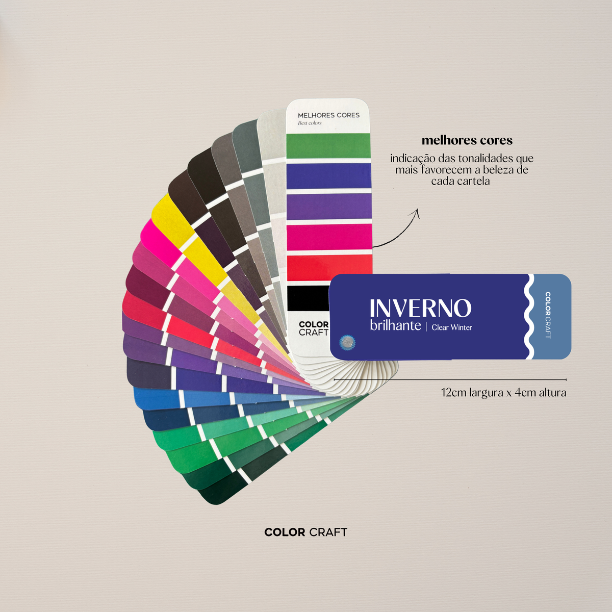 Kit 12 Cartelas de Cores Mini