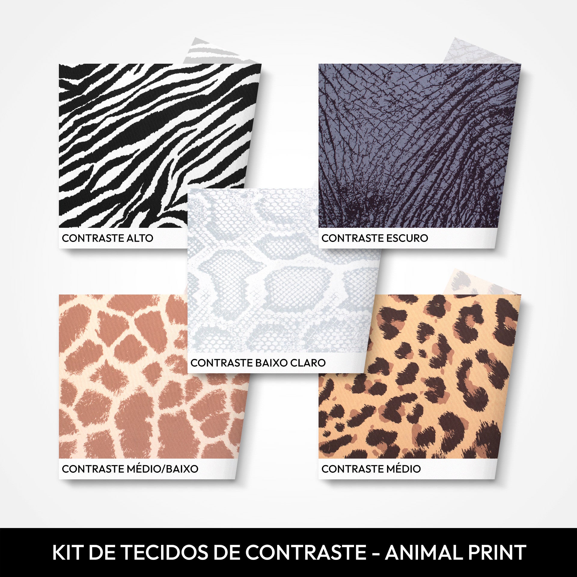Kit Coloristas Avançado Color Craft, cartelas de batom, animal print e subtom